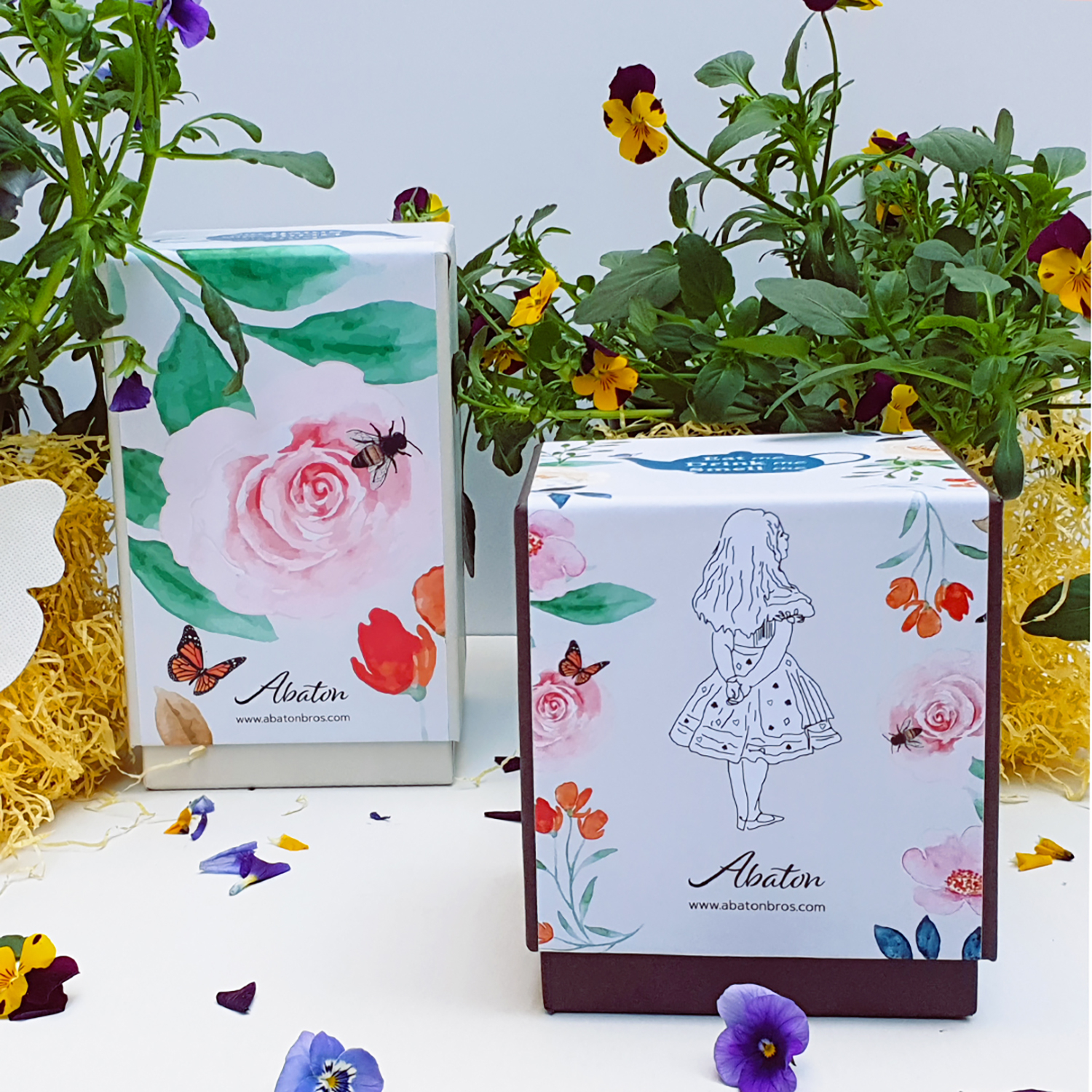 ABATON COFANETTO DELLE MERAVIGLIE 5X LES NEREIDES, EAT ME, DRINK ME, SMELL ME. - Image 3