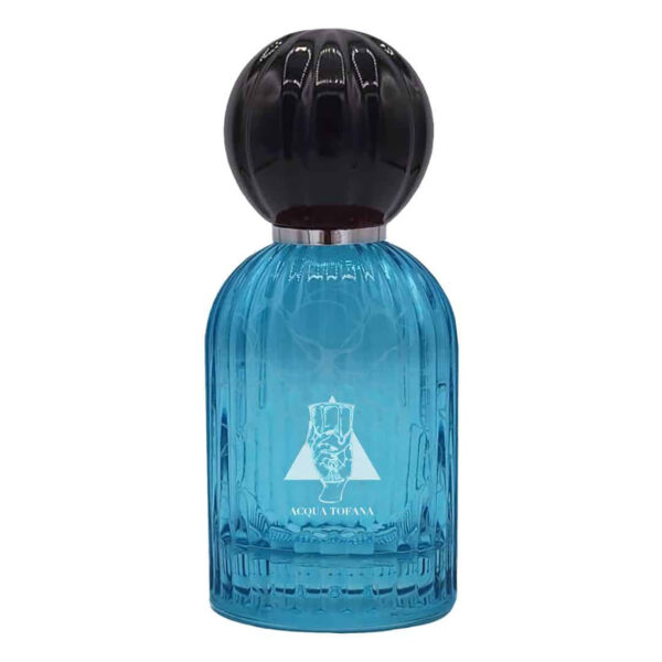 LES FOLIES DU PARFUM ACQUA TOFANA 100ML SPRAY EAU DE PARFUM